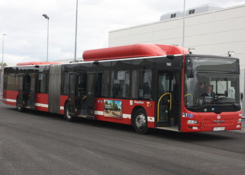 Buss 490x350.png