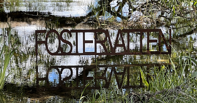 Fostervatten.jpg