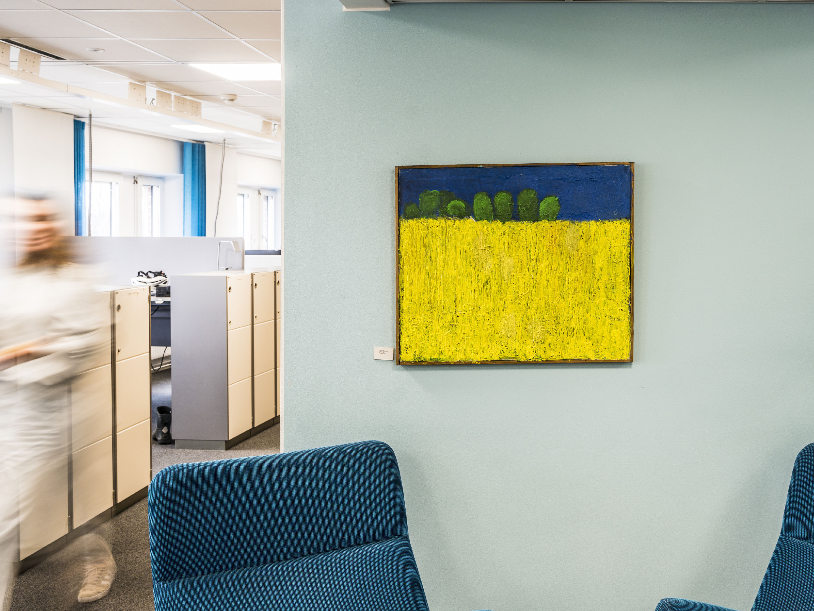 Konstsamling_Leon Bonell-Rapsf&auml;lt_fotoKarlGabor.jpg