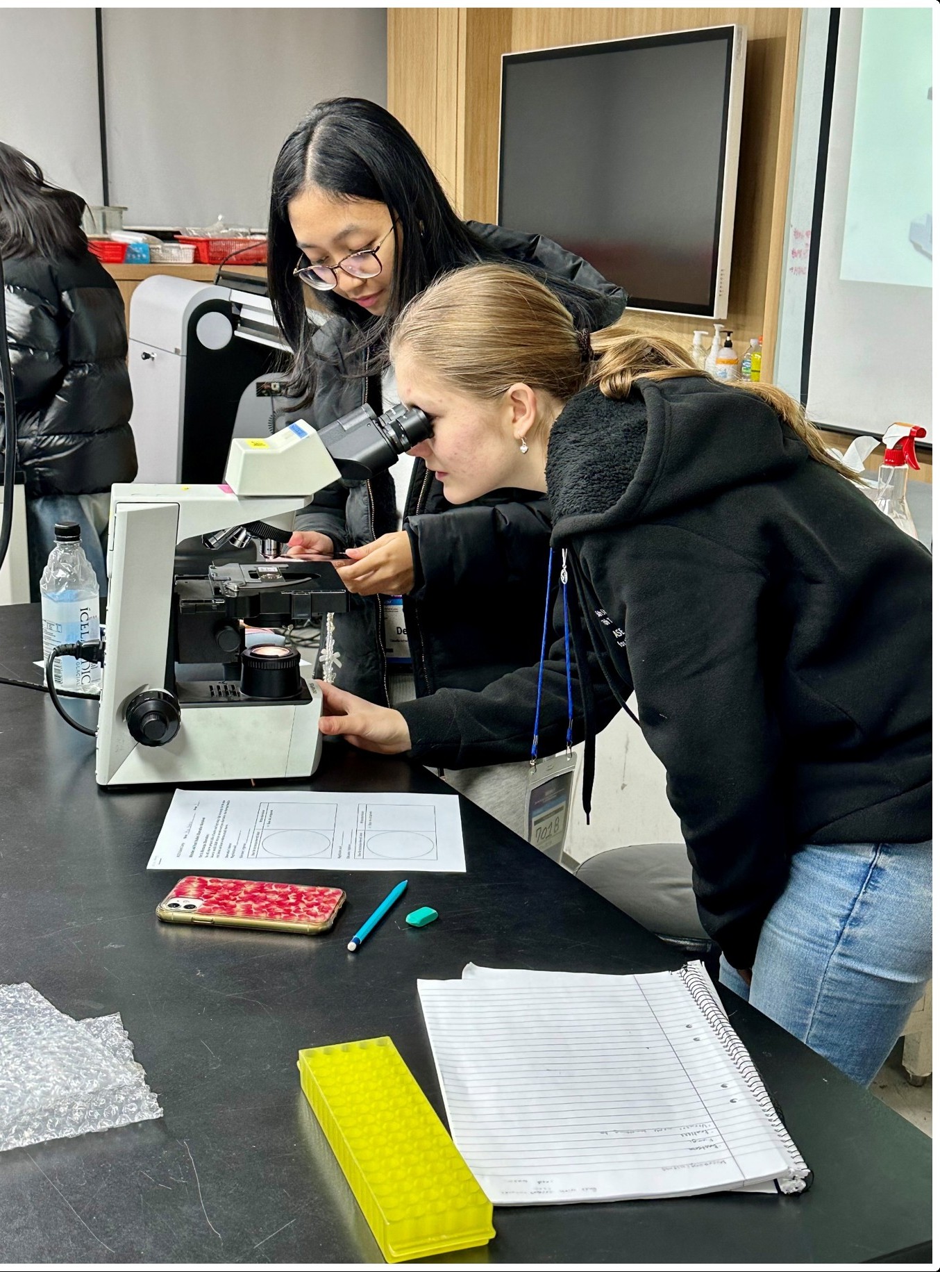 seuol microskåp.jpg