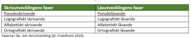 Faserna i läs-och skrivutveckling kap. 15.png