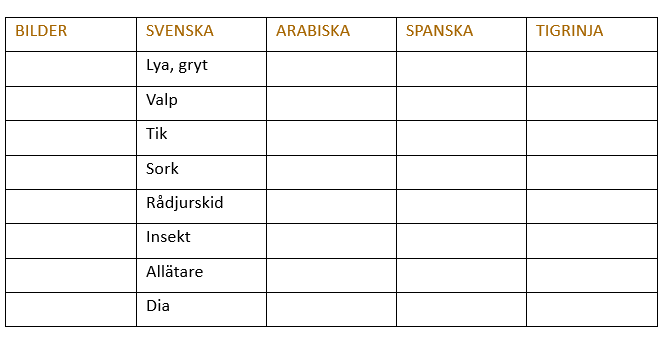Tabell flerspråkighet kap. 17.png