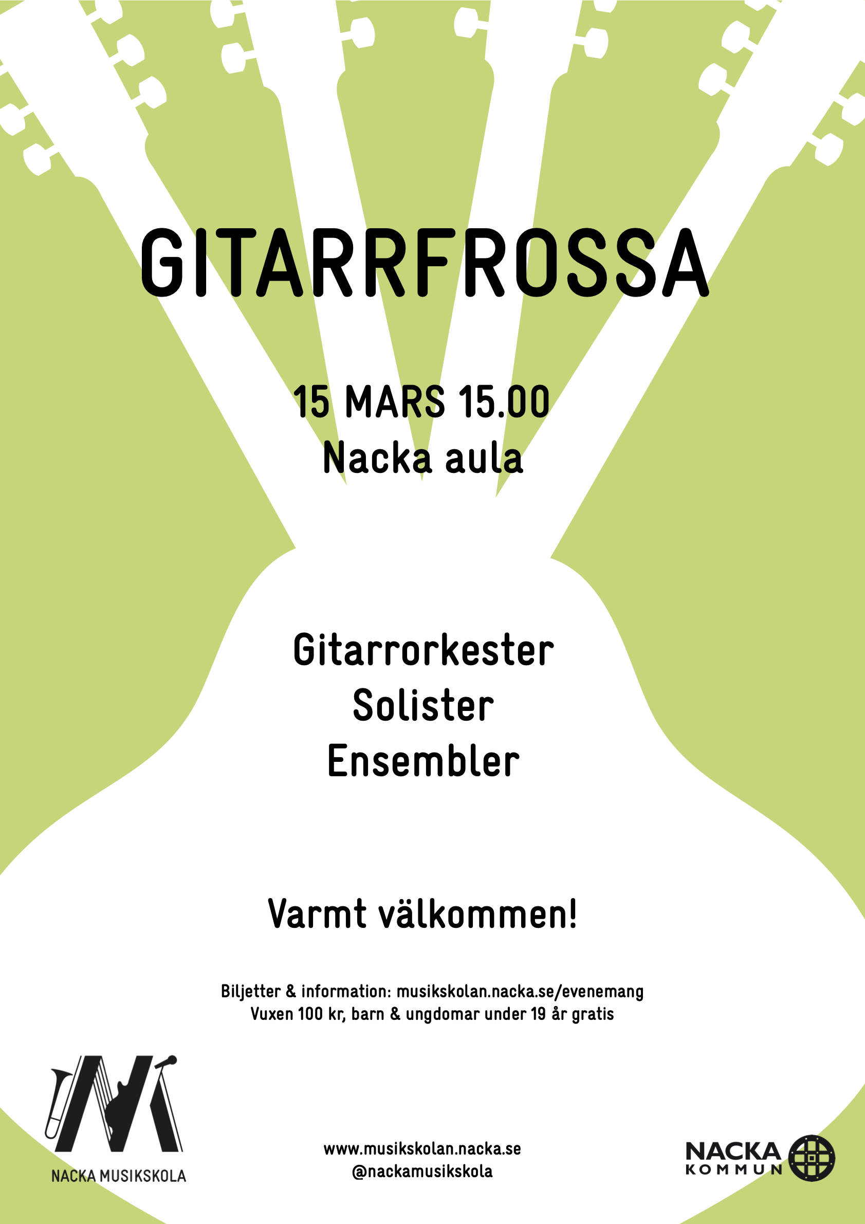 250315 Gitarrfrossa .1.jpeg