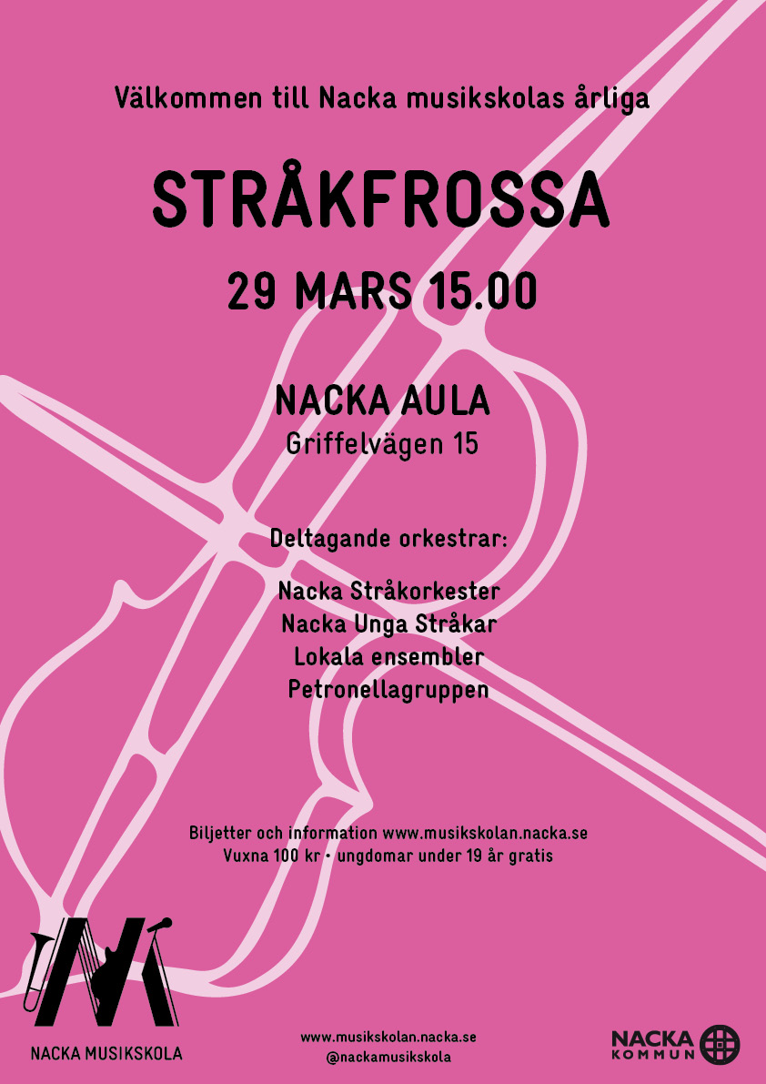 250328 stråkorkesterfrossa.jpg