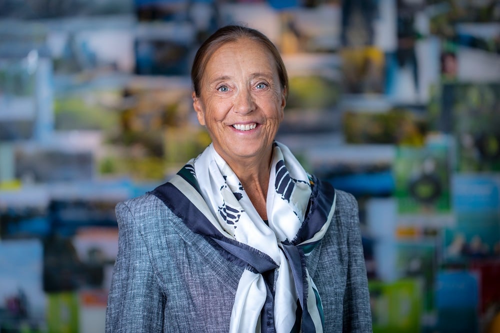 Stadsdirektör Lena Dahlstedt