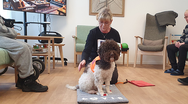 20260210 Lovis 1 630x350.jpg