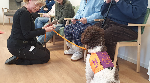 20260210 Lovis 2 630x350.jpg