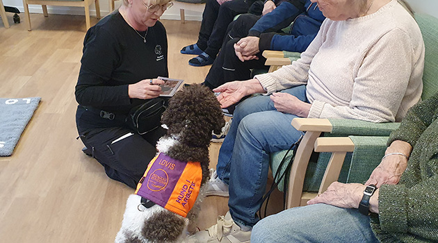 20260210 Lovis 3 630x350.jpg