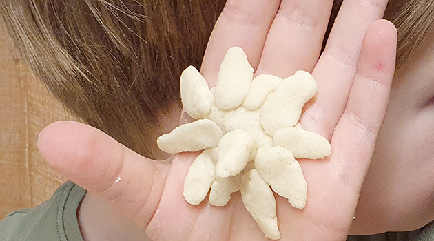 20260204 Trolldeg 3 630x350.jpg