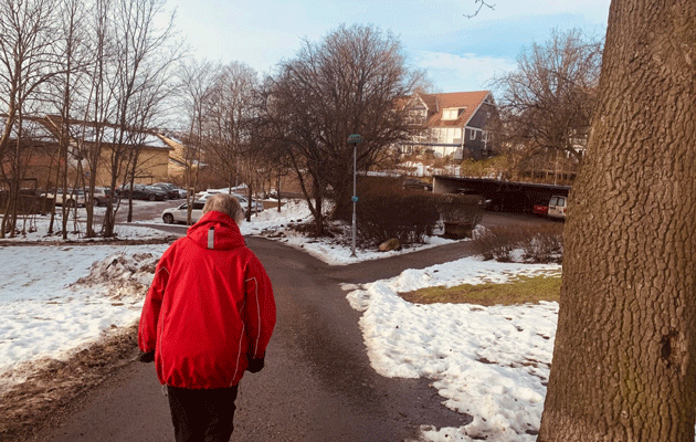 Promenadbild-bakifran630x400.gif