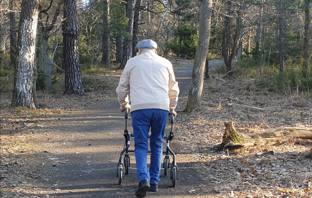 Vårpromenad-skog630x400.gif