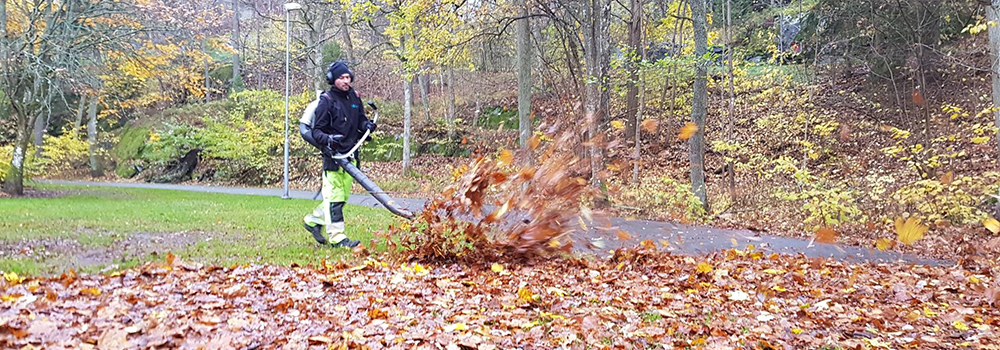 lövstadning-nacka-2018-november-1000x350.jpg