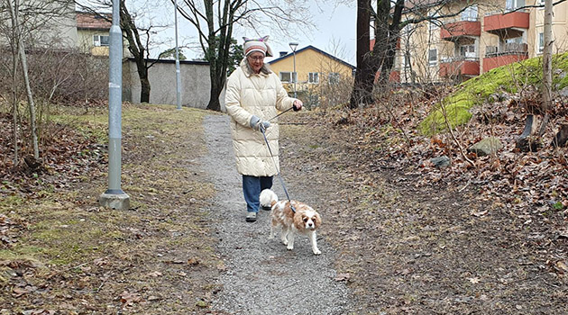 20240222 Hundpromenad 630x350.jpg