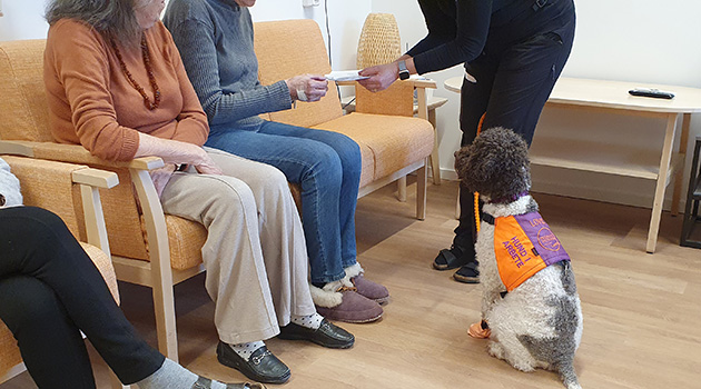 20260224 Lovis 1 630x350.jpg