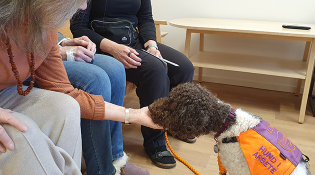 20260224 Lovis 2 630x350.jpg