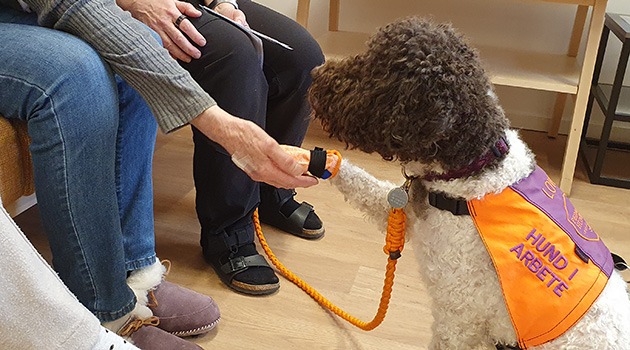 20260224 Lovis 3 630x350.jpg