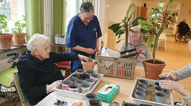 20260223 Plantering 2 630x350.jpg