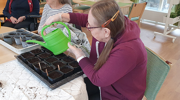 20260223 Plantering 1 630x350.jpg