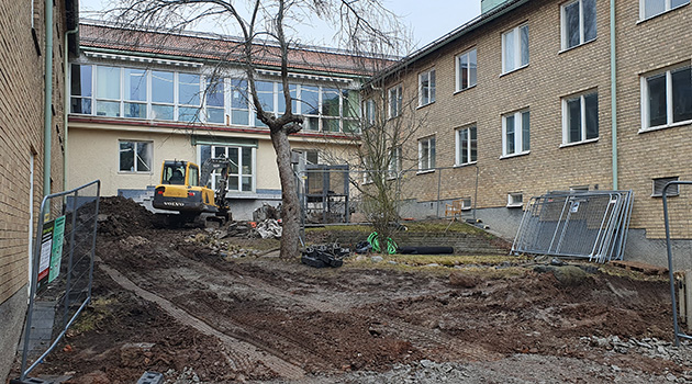 20240314 Hälsoträdgården 630x350.jpg