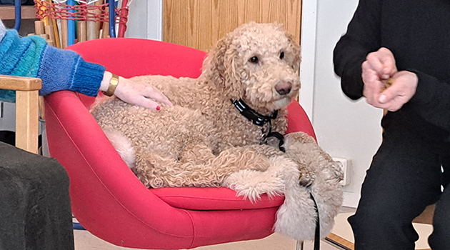 20250303 Terapihund 1 630x350.jpg