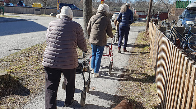 20260327 Vårtecken 1 630x350.jpg