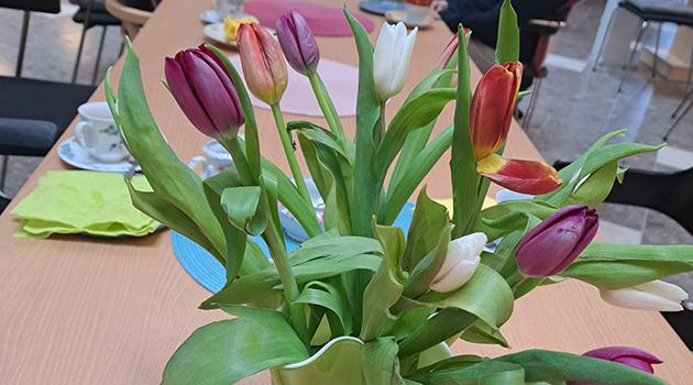 20260325 V&aring;fflor 1 630x350.jpg