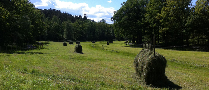 ängar-nyckelviken-670x290.jpg