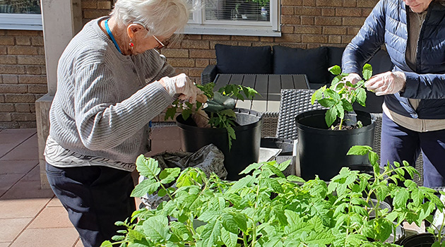 20260423 Tr&auml;dg&aring;rdsgrupp 1 630x350.jpg