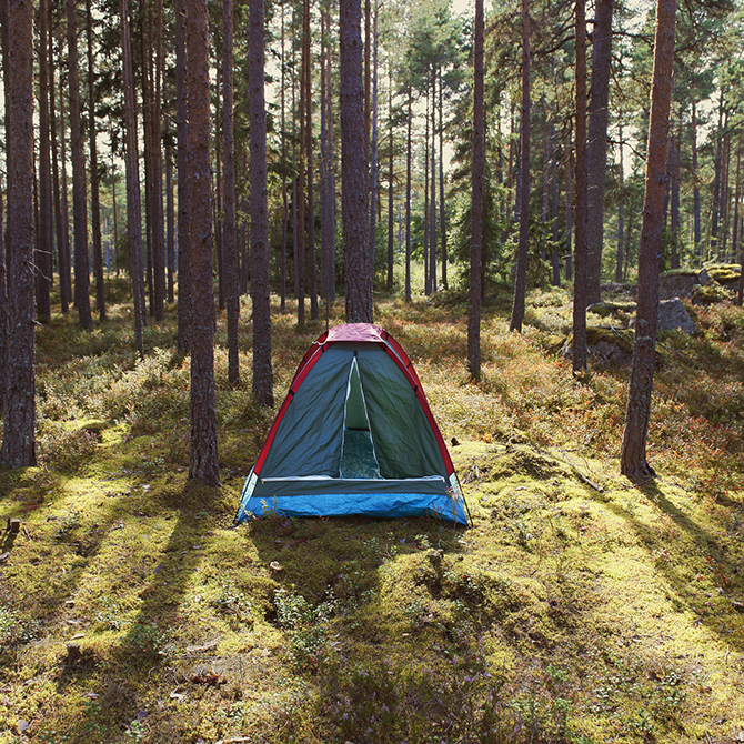 Tält i skogen_tipspromenad.jpg