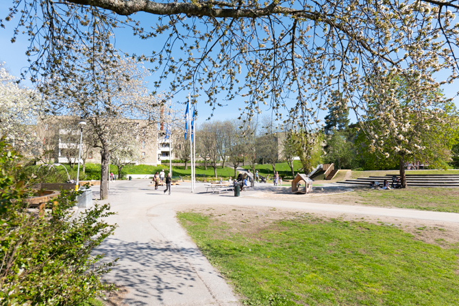 parken2.jpg