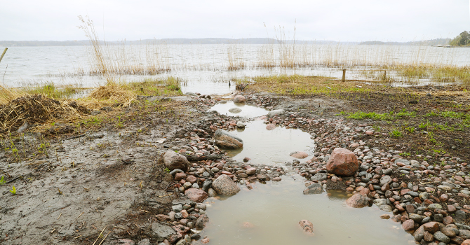 Gäddfabrik_Mjölkudden_maj_2025 (5) 670x350.jpg