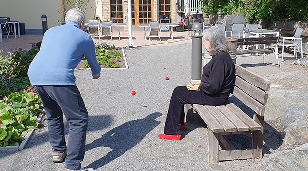 20260520 Boccia 1 630x350.jpg