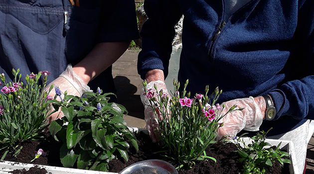 20210512 Plantering blommor.jpg