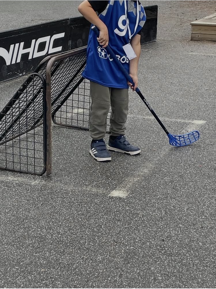 bandy.jpg