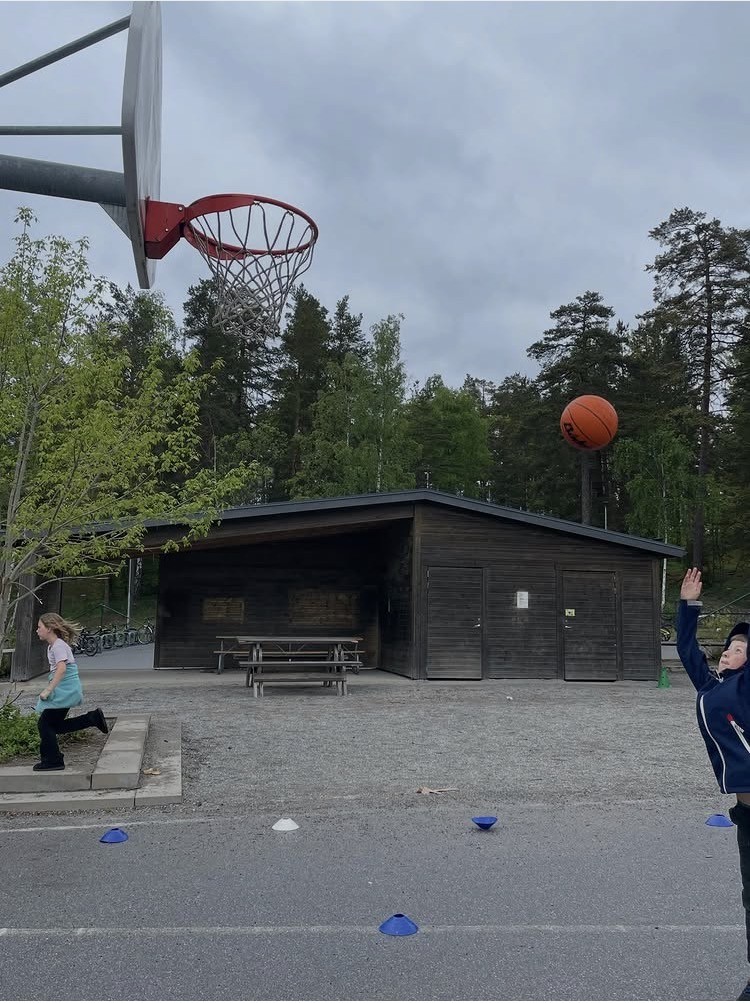 basket.jpg