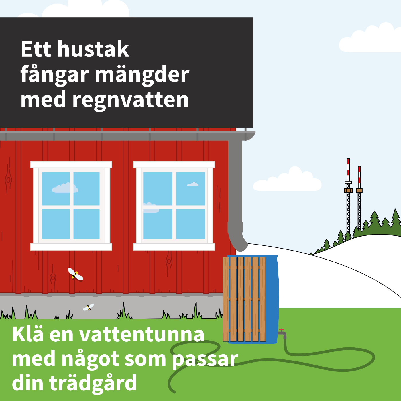 illustration på ett hus med regntunna. Text på bilden: Ett hustak fångar mängder med regnvatten. Klä en vattentunna med något som passar din trädgård.