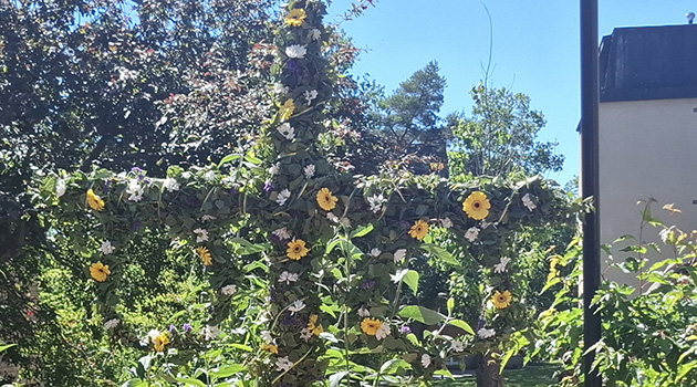 20260617 Midsommar 6 630x350.jpg