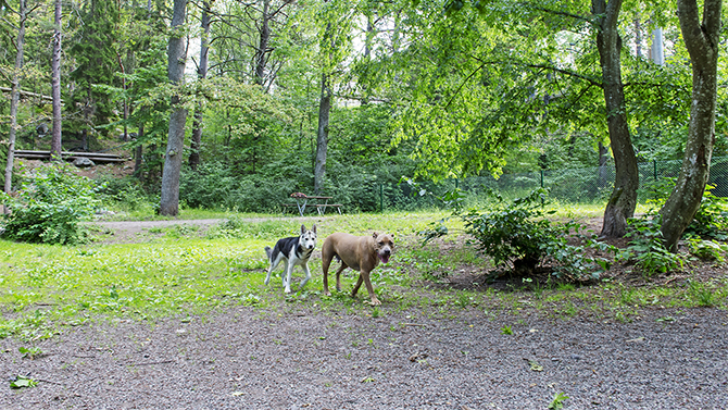 Fidravägen-hundrastgård-670.jpg