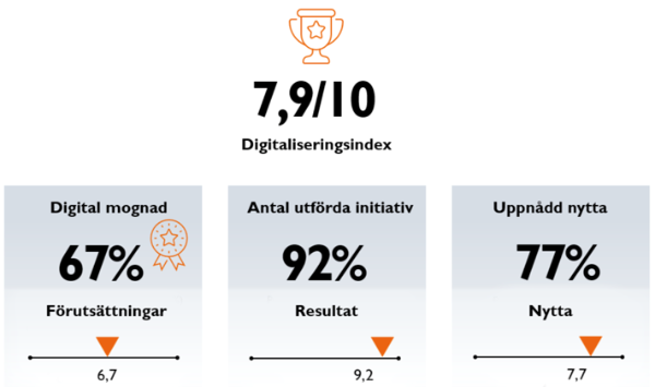 digitaliseringsindex-2023-exempel.png