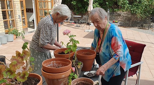 20250722 Trädgård 1 630x350.jpg