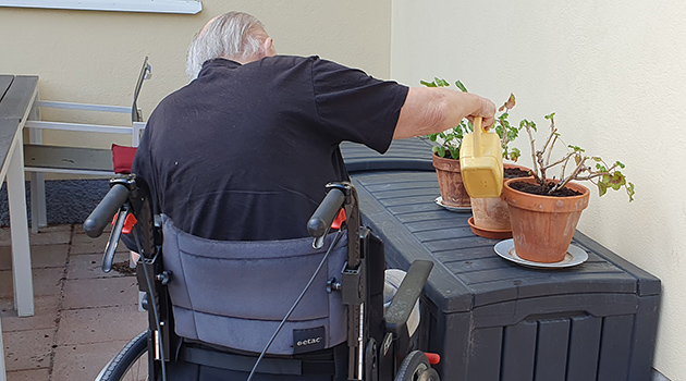 20250722 Trädgård 2 630x350.jpg