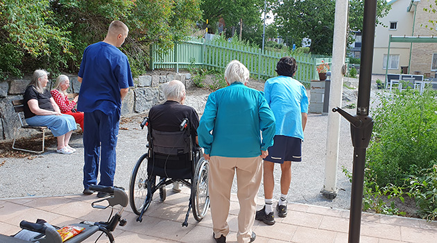 20250722 Trädgård 3 630x350.jpg