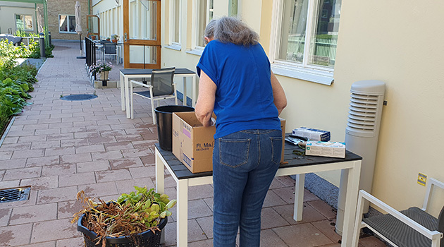 20260729 Trädgård 3 630x350.jpg