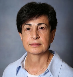 Shirin Nasirpour_resultat.jpg