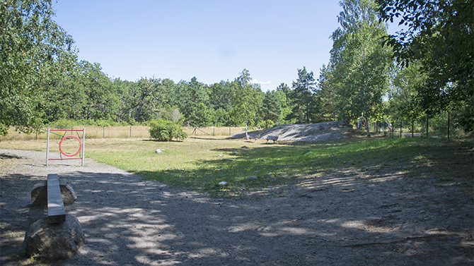 hundgård-tollare-4.jpg