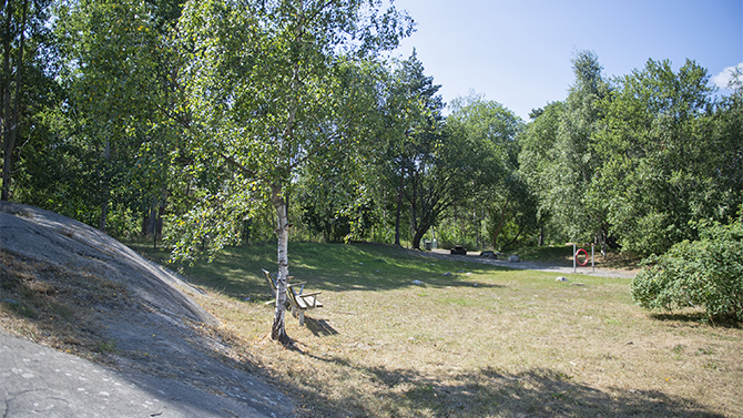 hundrastgård-tollare-2.jpg