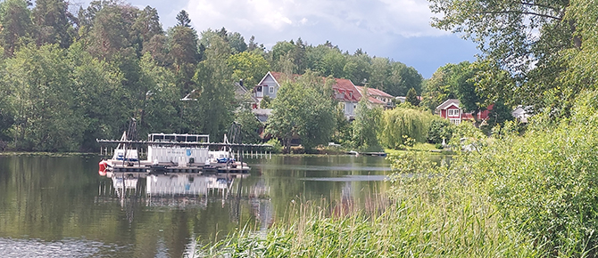 Vattenplan 2025 - Bagarsjön fällning juni 2024 670x290.jpg