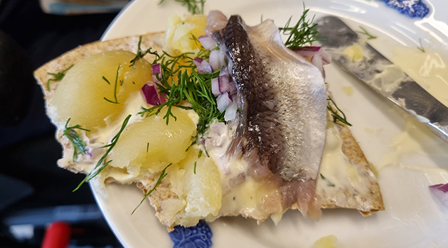 20260921 Surströmming 1 630x350.jpg