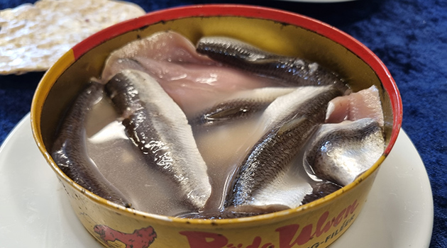 20260921 Surströmming 2 630x350.jpg