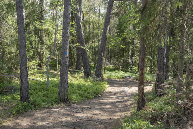 Motionsspår brödtext.jpg